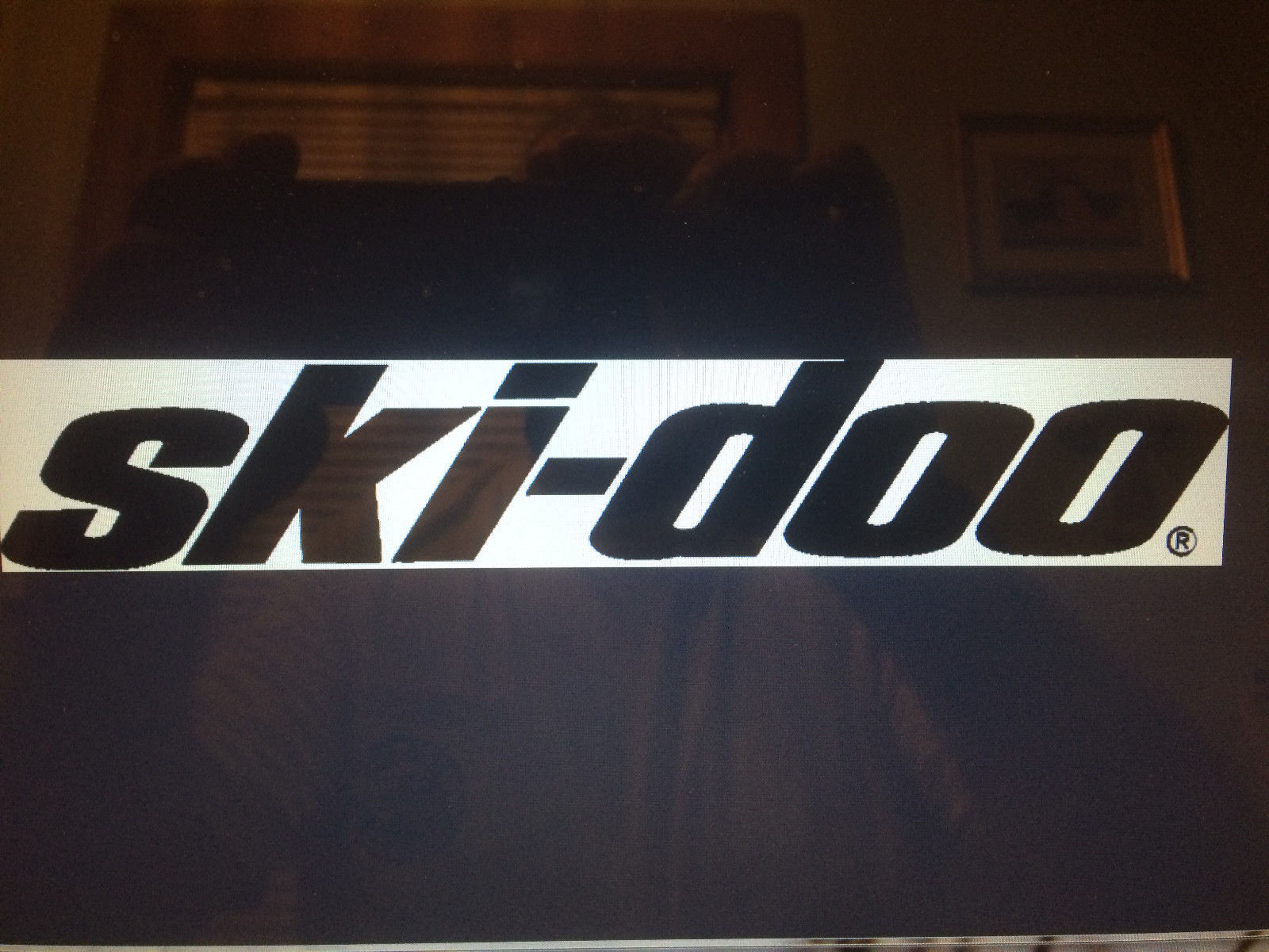 SKI-DOO DECAL STICKER BUY 1 GET 1 FREE SNOWMOLBIE DECALS  6” TO 36”
