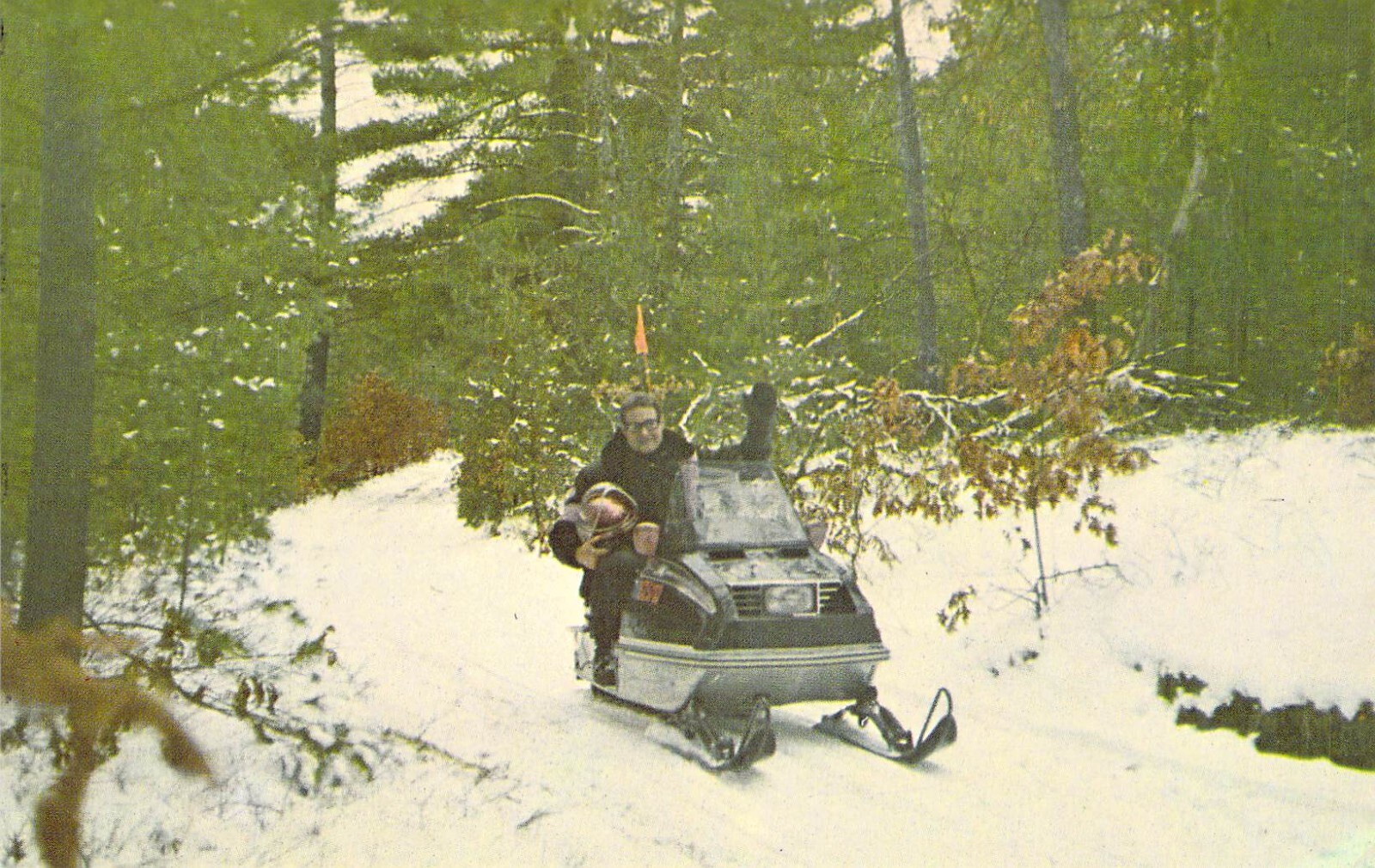 1975 Artic Cat Snowmobile Michigan Art DeWitt Postcard N42
