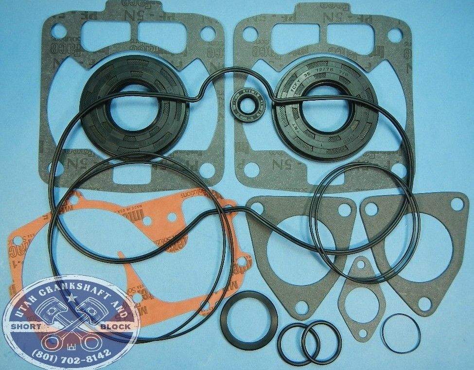 NEW POLARIS 500 COMPLETE GASKET SET OIL SEALS 1999-2001 99-01 EURO SKS RMK XC SP