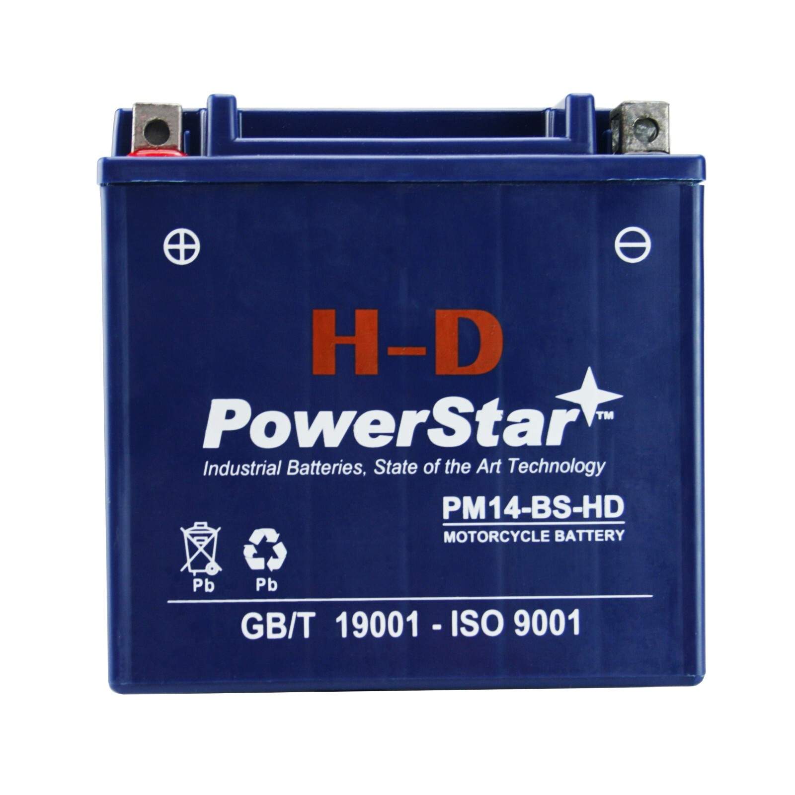 PowerStar H-D YTX14-BS Snowmobile Battery For Yamaha RX10RT Apex RTX 2006-2007