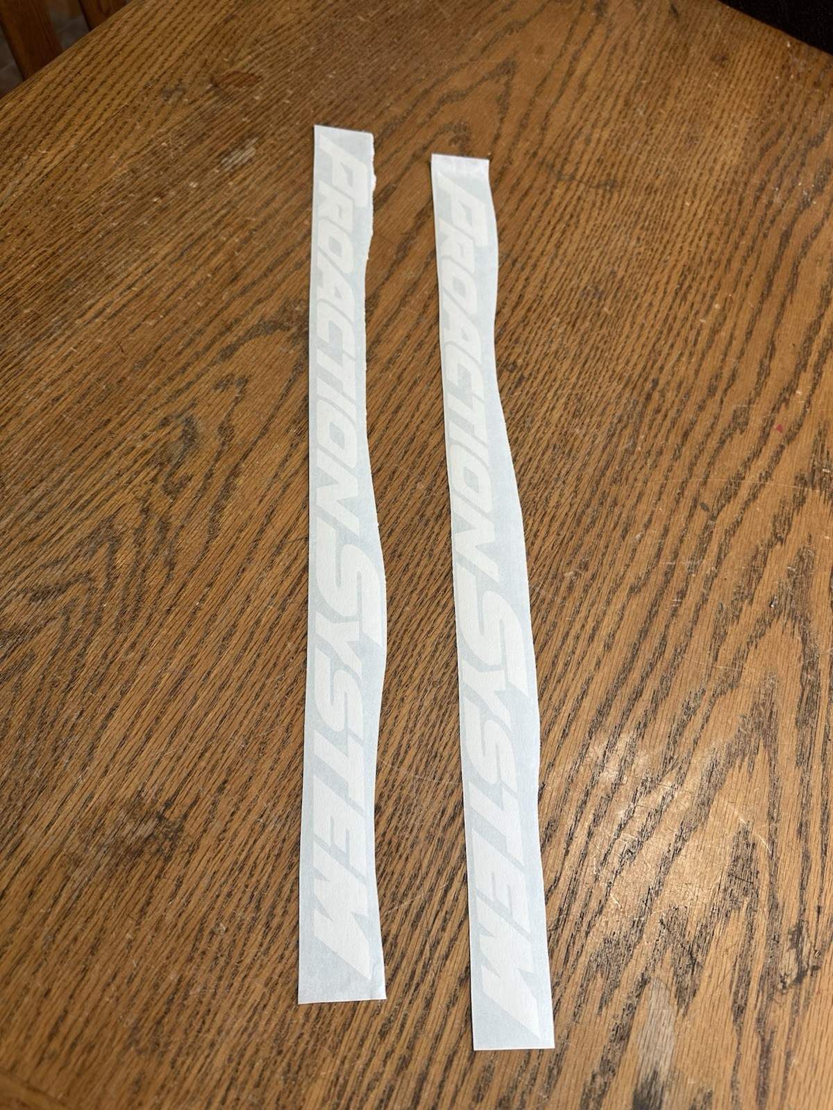 Yamaha Snowmobile Year 1999 SX Trailing Arm Decal Right & Left NEW 500 600 700