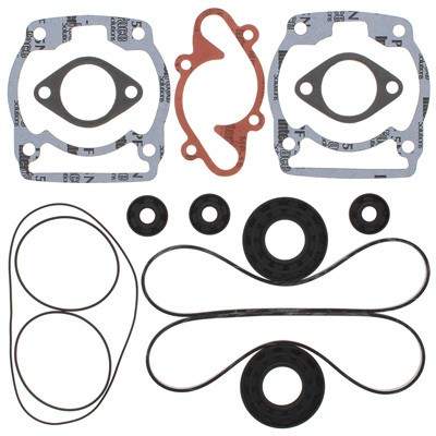 Gasket Kit with Oil Seals Compatible with/Replacement for Ski-Doo Blizzard 7500