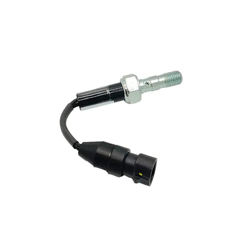 Polaris Switch- OEM 4014225