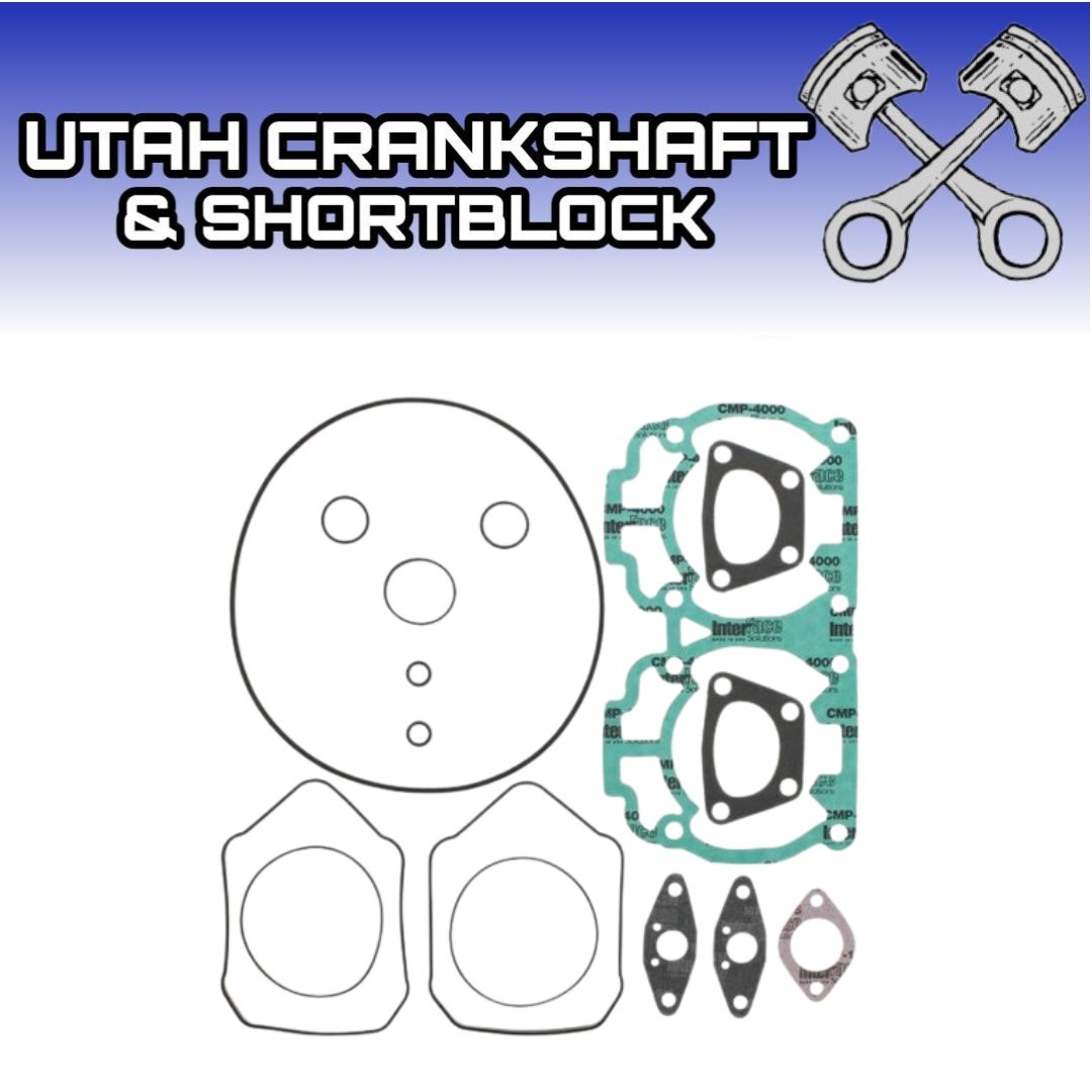 NEW SKI-DOO 600 WINDEROSA TOP END GASKET KIT 1999 MX Z SUMMIT 99 MXZ SKIDOO