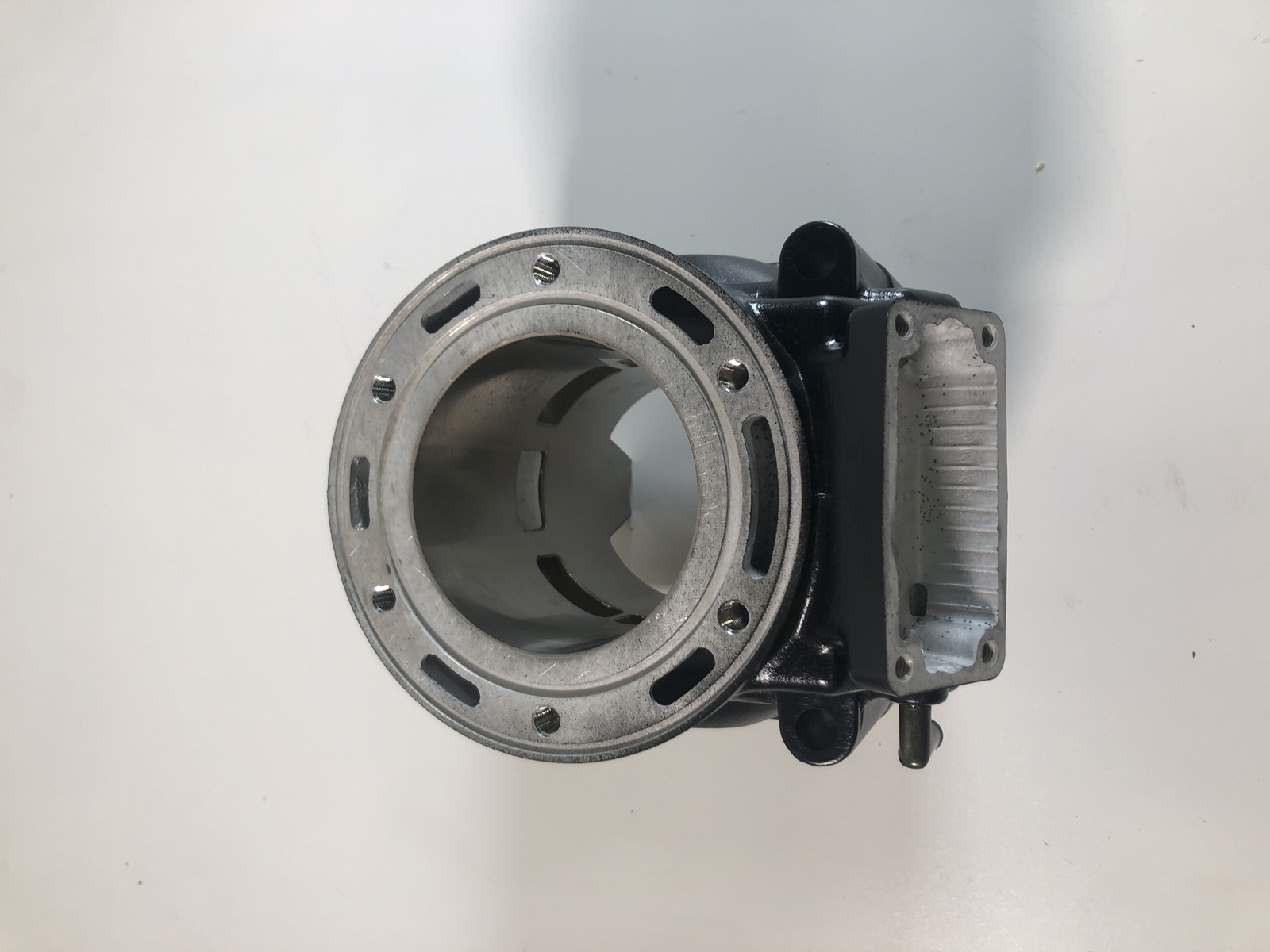 NEW Arctic Cat Genuine OEM 3006-050 CYLINDER for 2002 Mountain Cat 800